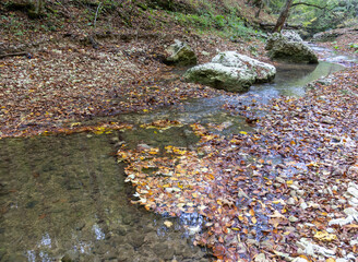 the beginning of a mountain river , a slow flow in a shallow riverbed