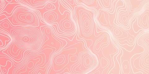 White topographic contour line isolated on pink background. Topographic map background concept with space for your copy. Vector abstract illustration.Geography concept.