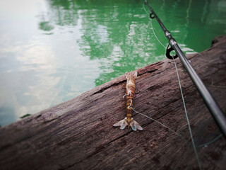 fishing live bait prepared on a dock, shrimp hooked
