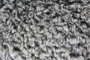 texture background of grey fake fur
