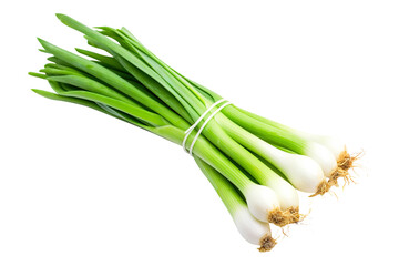 bunch of fresh green onions isolated on transparent background Remove png, Clipping Path, pen tool
