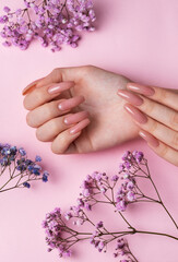 Obraz na płótnie Canvas Female hands with pink nail design hold gypsophila flowers.