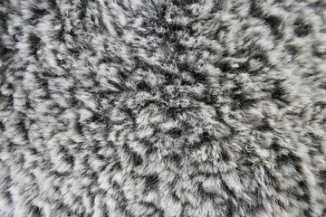 texture background of grey fake fur