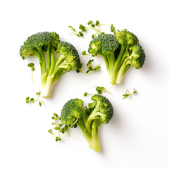 Broccoli Sprouts on White Background, Studio Photography