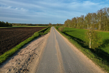 Fototapeta na wymiar This image presents a straight country road dividing contrasting landscapes: on one side, there is a plowed field, ready for planting, indicative of the agricultural activity that defines the area; on