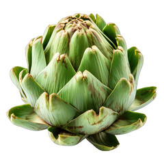 Artichoke Heart Isolated on Transparent or White Background, PNG
