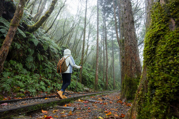 Fototapeta premium Woman go hiking in foggy mist forest