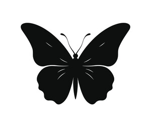 butterfly silhouette set. butterfly vector illustration. butterfly  isolated vector on white background.