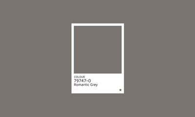 Trendy Color 2024 Romantic Grey Swatch Palette. Color hex swatch palette design idea