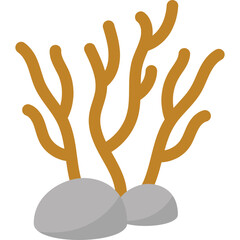 Flat Coral Reef