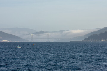 Vigo has an impressive estuary and the Rande bridge crosses it 