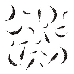 Bird feathers design. fluffy swan. soft bird plumage set. Pen icons design. set of bird feathers design background