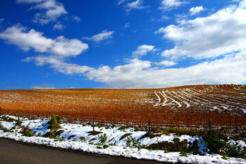 北海道・彩の大地