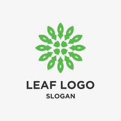 Vector leaf logo design 