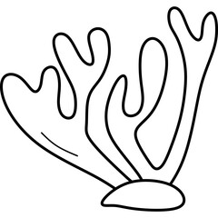 Mardi Gras Equipment