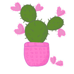 
cactus