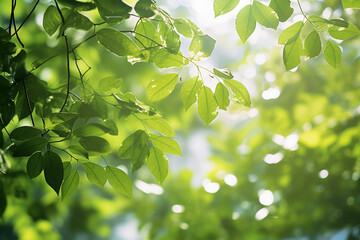Fototapeta na wymiar Abstract Green Foliage and Tree in Jungle