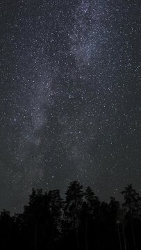 Time lapse of The Milky Way galaxy moves above the silhouettes of trees