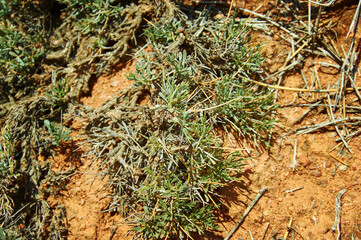 Fairy Tale Canyon, Kyrgyzstan.Central Asia