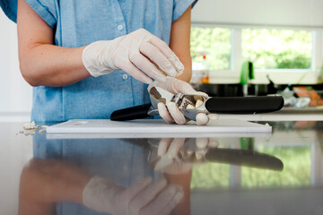 Hands in disposable gloves. Woman cooking at kitchen