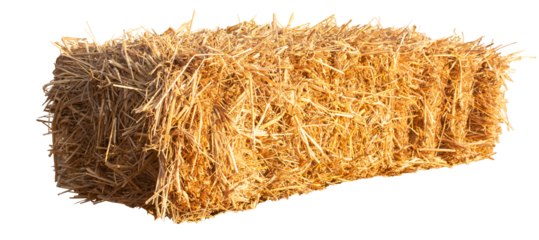 Bale of hay isolated on transparent background cutout, PNG file.