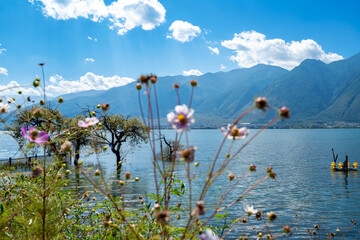 Landscape of Erhai Lake, located in Dali, Yunnan, China. - 707714231