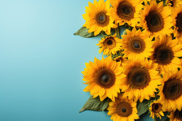 Sunflowers on a blue background. Flat lay, top view. Copy space for text