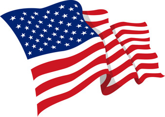 USA Flag Vector