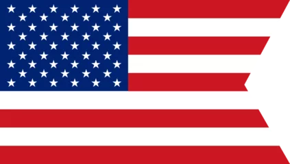 Foto op Plexiglas USA Flag Vector © Visuel
