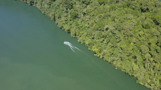 Panoramic Landscape of Lake Izabal and motorboat going next to the Jungle