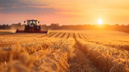 Fotobehang An autumn harvest scene with farmers collecting crops tractors in the field and a sunset backdrop. © Peter