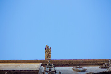 gargoyles of cathedral and ancient church in europe with blue sky