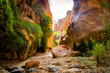Hiking through a canyon in Jordan - obrazy, fototapety, plakaty