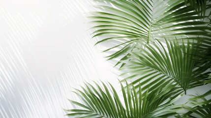 Tropical Leaves Overlay on White - Lush Green Foliage with Natural Shadows for Vibrant Botanical Design, Perfect for Summer Decor and Nature-themed Projects