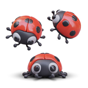 3D ladybug in different positions. Vector beetle, front, side, top view. Cute insect in cartoon style. Friendly creature. Templates for design with movement