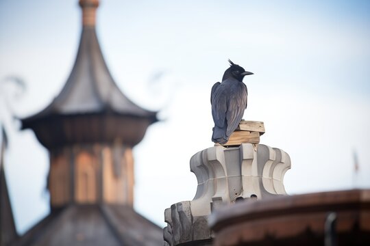 a raven perched on a weathered castle turret