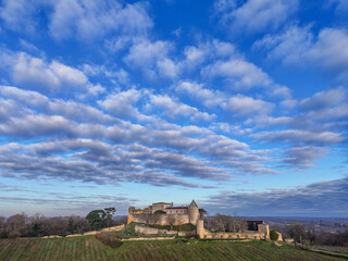 FRANCE, GIRONDE, PORTE DE BENAUGE, BENAUGE CASTLE AND ITS VINEYARDS IN WINTER, AOC CADILLAC COTES...