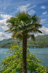 Fototapeta na wymiar idyllic view in Village of Morcote at Lake Lugano close to Lugano,Ticino Canton,Switzerland