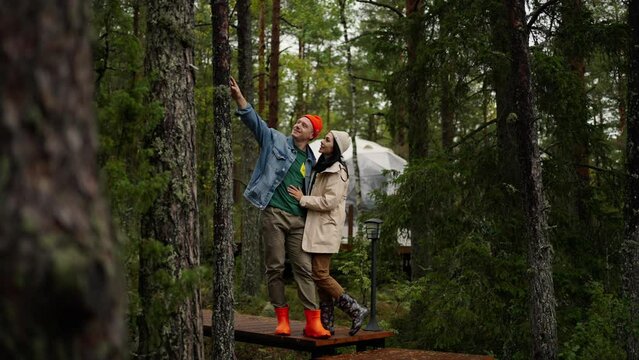Tourists Walking In Pine Forest, Resting In Amazing Camping In Ecological Area, Loving Man And Woman
