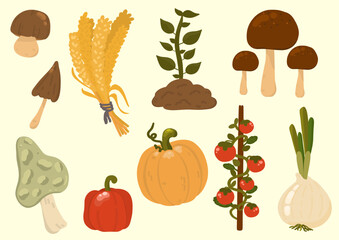 Set of Vegetables in the backyard garden. Clipart elements hand drawn illustration.