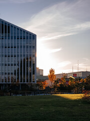 Fototapeta na wymiar Modern business center near the park at sunset