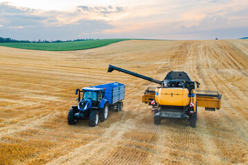 Combine reaper channels wheat grains into a waiting tractor trailer. Sun dips below the horizon