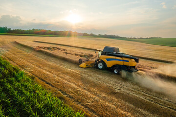 Combine reaper with dust cloud cuts ripe barley in farm field aerial view. Agricultural machinery...