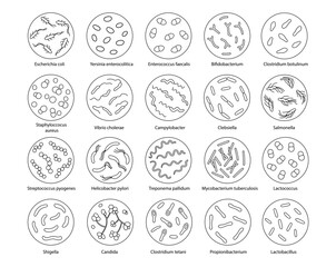 Set of bacteria in a magnifying glass. Vector illustration in doodle style