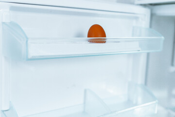 empty refrigerator with one egg in tray