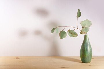 Sage green ceramic vase and a small eucalyptus branch with soft shadows against a warm toned wall...