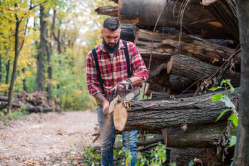 Action shot of the lumberjack in the woods, slicing through logs with a chainsaw, sawdust and smoke...