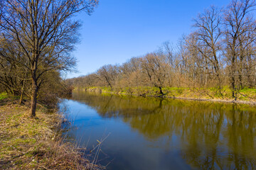 Fototapeta na wymiar calm river with forest on coast at bright spring day