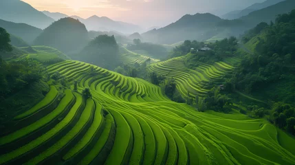 Foto auf Leinwand rice terraces in the morning © Tri_Graphic_Art