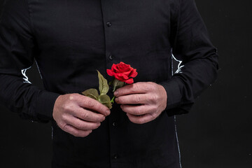 Rosa roja en las manos de un hombre